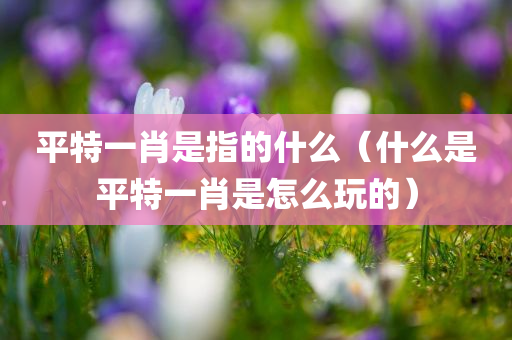 平特一肖是指的什么（什么是平特一肖是怎么玩的）