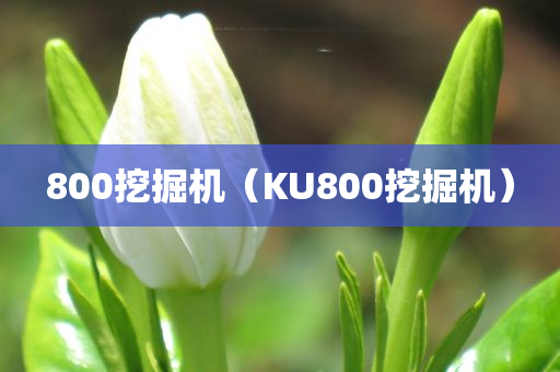 800挖掘机（KU800挖掘机）