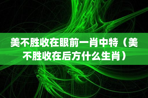 美不胜收在眼前一肖中特（美不胜收在后方什么生肖）