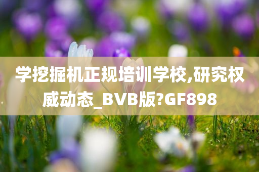 学挖掘机正规培训学校,研究权威动态_BVB版?GF898