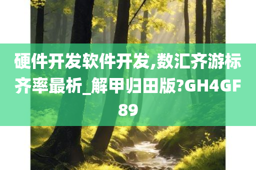 硬件开发软件开发,数汇齐游标齐率最析_解甲归田版?GH4GF89