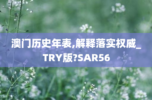 澳门历史年表,解释落实权威_TRY版?SAR56