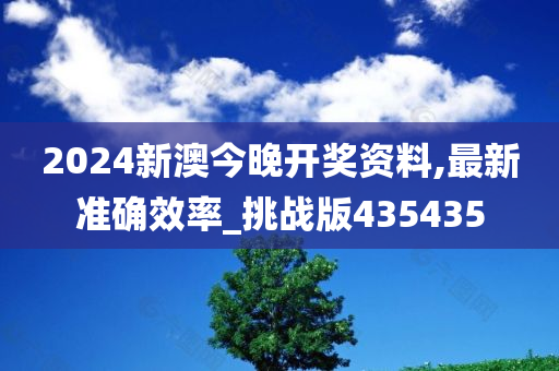 2024新澳今晚开奖资料,最新准确效率_挑战版435435