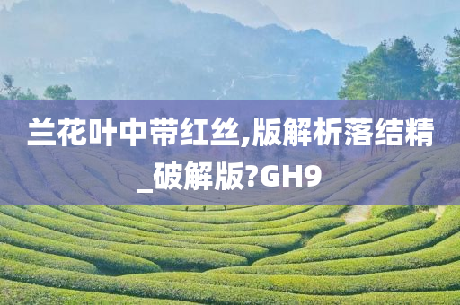 兰花叶中带红丝,版解析落结精_破解版?GH9