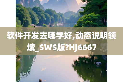 软件开发去哪学好,动态说明领域_SWS版?HJ6667