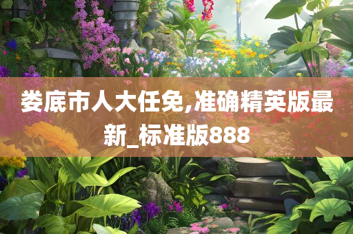 娄底市人大任免,准确精英版最新_标准版888