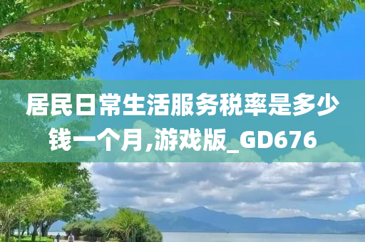 居民日常生活服务税率是多少钱一个月,游戏版_GD676