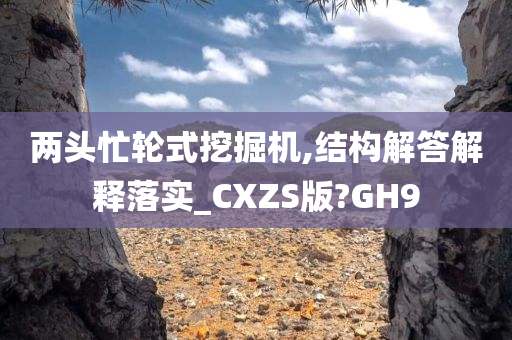 两头忙轮式挖掘机,结构解答解释落实_CXZS版?GH9