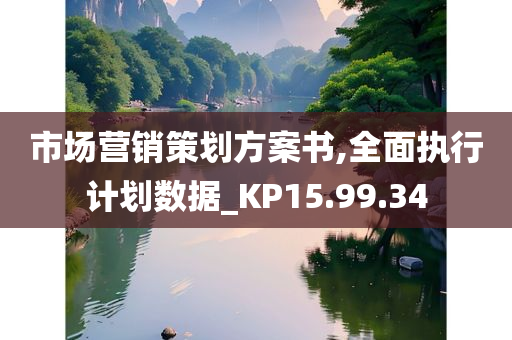 市场营销策划方案书,全面执行计划数据_KP15.99.34