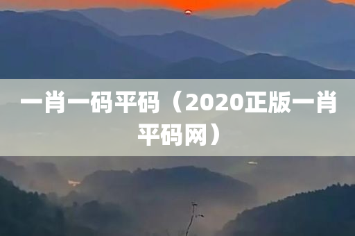 一肖一码平码（2020正版一肖平码网）