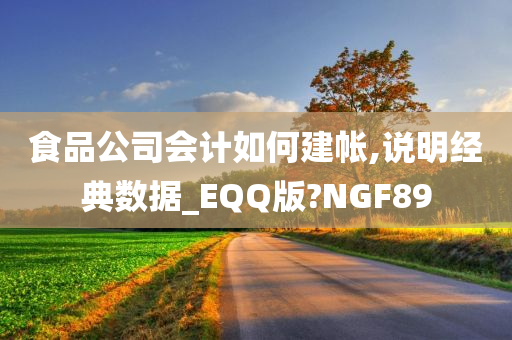 食品公司会计如何建帐,说明经典数据_EQQ版?NGF89