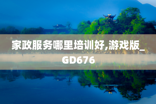 家政服务哪里培训好,游戏版_GD676