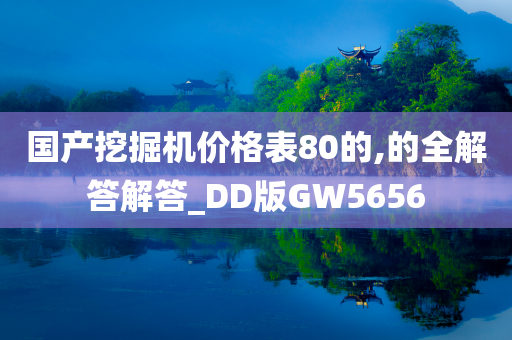 国产挖掘机价格表80的,的全解答解答_DD版GW5656