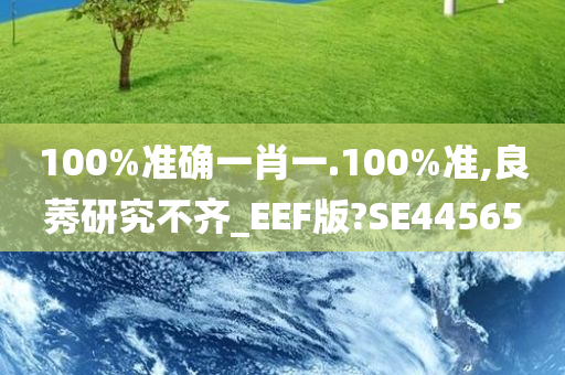 100%准确一肖一.100%准,良莠研究不齐_EEF版?SE44565