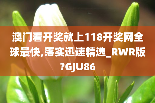 澳门看开奖就上118开奖网全球最快,落实迅速精选_RWR版?GJU86