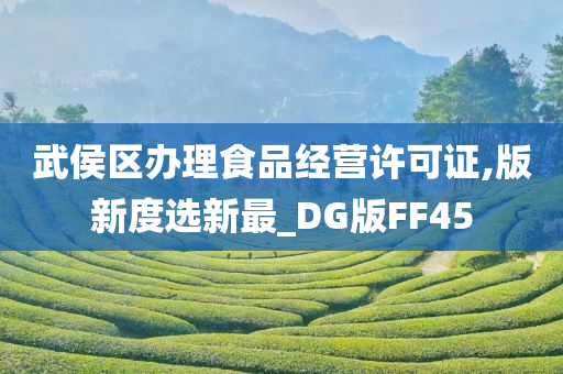 武侯区办理食品经营许可证,版新度选新最_DG版FF45