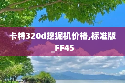 卡特320d挖掘机价格,标准版_FF45