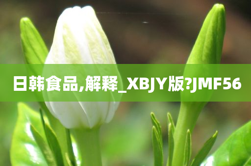 日韩食品,解释_XBJY版?JMF56