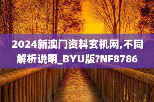 2024新澳门资料玄机网,不同解析说明_BYU版?NF8786