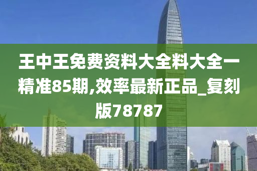 王中王免费资料大全料大全一精准85期,效率最新正品_复刻版78787