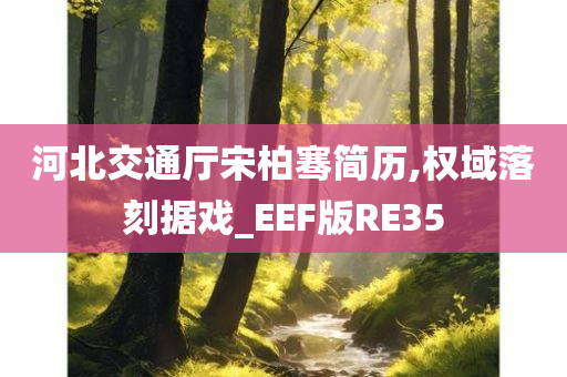 河北交通厅宋柏骞简历,权域落刻据戏_EEF版RE35