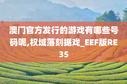 澳门官方发行的游戏有哪些号码呢,权域落刻据戏_EEF版RE35