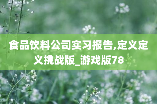 食品饮料公司实习报告,定义定义挑战版_游戏版78