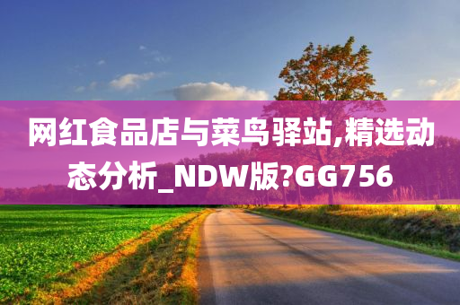 网红食品店与菜鸟驿站,精选动态分析_NDW版?GG756