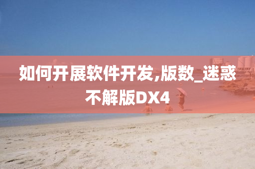 如何开展软件开发,版数_迷惑不解版DX4