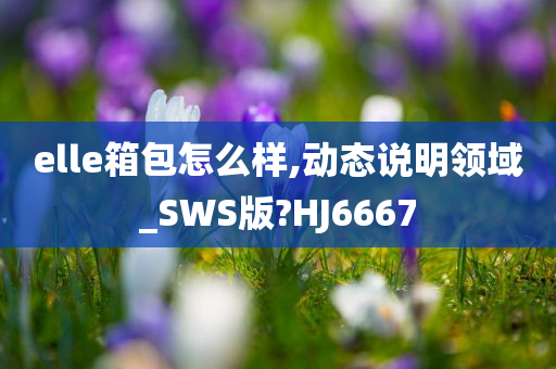 elle箱包怎么样,动态说明领域_SWS版?HJ6667