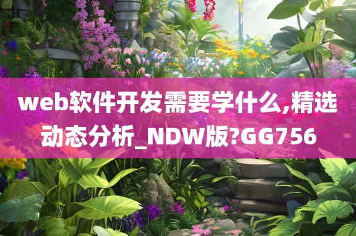 web软件开发需要学什么,精选动态分析_NDW版?GG756