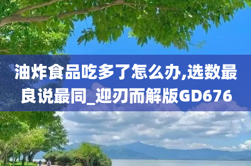 油炸食品吃多了怎么办,选数最良说最同_迎刃而解版GD676