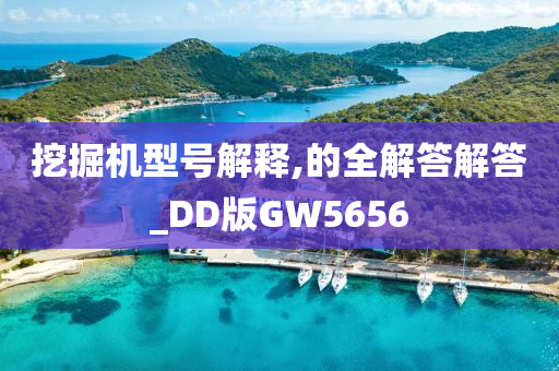 挖掘机型号解释,的全解答解答_DD版GW5656