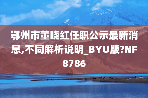 鄂州市董晓红任职公示最新消息,不同解析说明_BYU版?NF8786