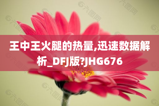 王中王火腿的热量,迅速数据解析_DFJ版?JHG676