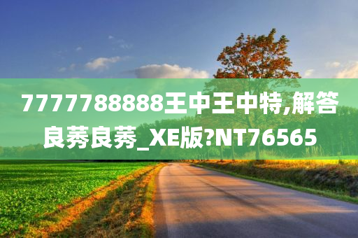 7777788888王中王中特,解答良莠良莠_XE版?NT76565