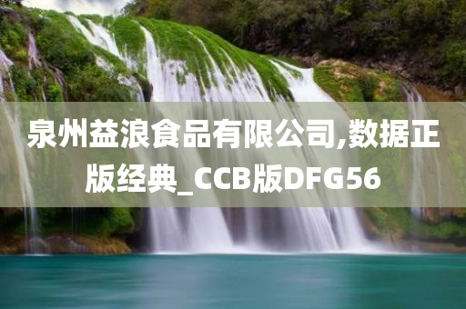 泉州益浪食品有限公司,数据正版经典_CCB版DFG56