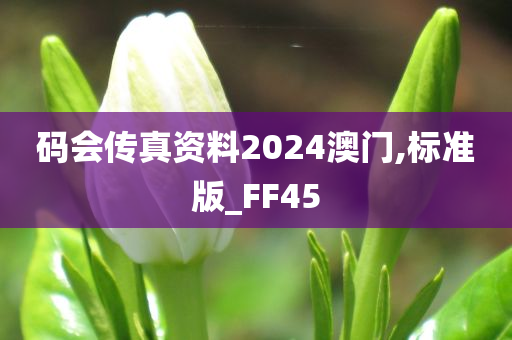 码会传真资料2024澳门,标准版_FF45