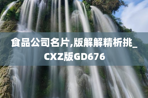 食品公司名片,版解解精析挑_CXZ版GD676