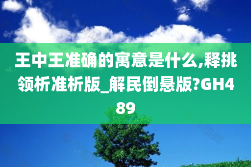 王中王准确的寓意是什么,释挑领析准析版_解民倒悬版?GH489