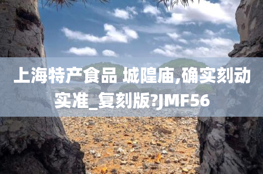 上海特产食品 城隍庙,确实刻动实准_复刻版?JMF56