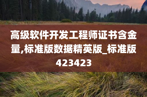 高级软件开发工程师证书含金量,标准版数据精英版_标准版423423