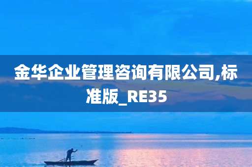 金华企业管理咨询有限公司,标准版_RE35