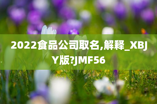 2022食品公司取名,解释_XBJY版?JMF56