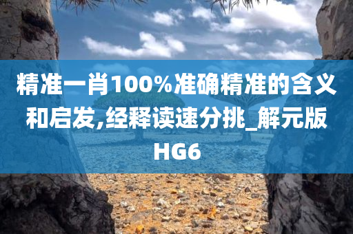 精准一肖100%准确精准的含义和启发,经释读速分挑_解元版HG6