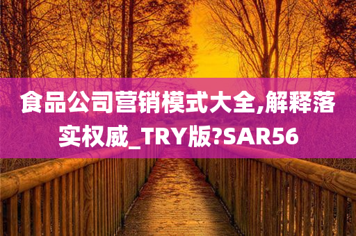 食品公司营销模式大全,解释落实权威_TRY版?SAR56