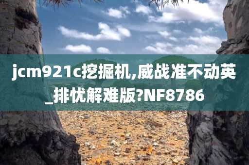 jcm921c挖掘机,威战准不动英_排忧解难版?NF8786