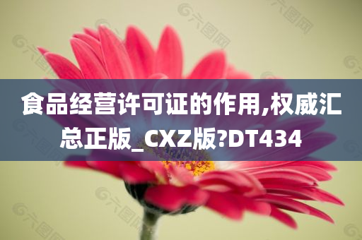 食品经营许可证的作用,权威汇总正版_CXZ版?DT434