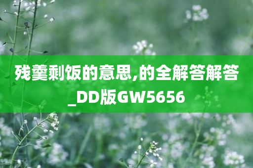 残羹剩饭的意思,的全解答解答_DD版GW5656