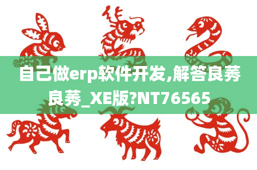 自己做erp软件开发,解答良莠良莠_XE版?NT76565